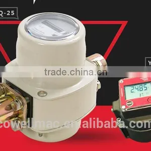 Roots Type Flow Meter( Gas Flow Meter) thumbnail-5