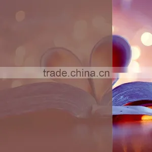Film Heat Resistant Tea Coloured Plastic Anti Scratch Film thumbnail-4