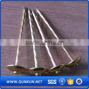 Concrete Nails Making Machine, Galvanized Grooved ss Nails Quality Choice thumbnail-3