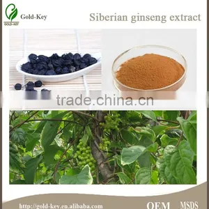 100% Pure Siberian Ginseng Root Extract Powder thumbnail-1