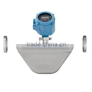 BBZ-DMF Compressed Natural Gas Flowmeter thumbnail-2