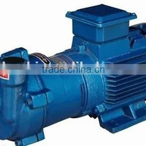 Liquid Ring Vacuum Pump thumbnail-1