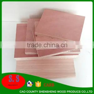Cheap Paulownia Lumber Prices Paulownia Board Edge Glued Panels for Wooden Coffin Blockboard Machine thumbnail-1