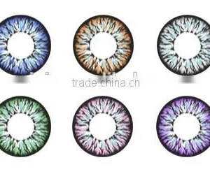 Wholesale Eclipse Rainbow Contact Lenses Color Green Cheap Wholesale Contact Lens Contact Lenses Grey Color thumbnail-2