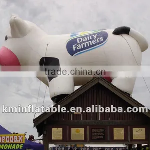 Large Inflatable Cow on Roof thumbnail-1