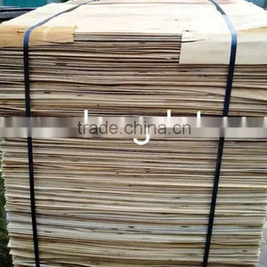 Eucalyptus Core. no Rot, no Mold, no Defect Rotary Cut Face Veneer for Furniture thumbnail-4