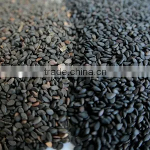Hulled Sesame Seeds, White Sesame Seeds, White Hulled Sesame Seeds , Washed Whitish Sesame Seeds thumbnail-2