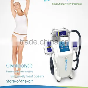 High Quality and Safe Cryo Lipolisis Fat Freezing Slimming Anti Cellulite Beauty System thumbnail-1