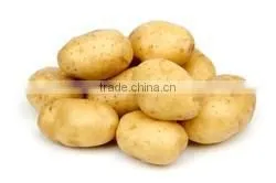 Fresh Potatoes for Sale thumbnail-3