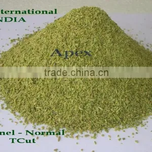 Apex Supplies Quality Foeniculum Vulgare Fennel / Foeniculum Vulgare / Fennel Seeds / Saunf thumbnail-5