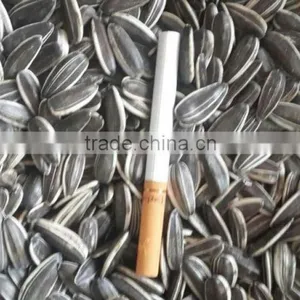 Supply All Kinds Of Sunflower Seeds thumbnail-5
