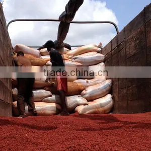 ANNATTO SEEDS thumbnail-2