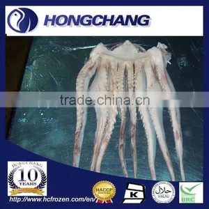Frozen Giant Squid Tentacle thumbnail-1
