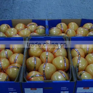 2015 Fresh Pomelo Honey Pomelo Sweet Pomelo for Export thumbnail-4