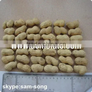 Delicious Organic Taste Peanut in Shell thumbnail-1