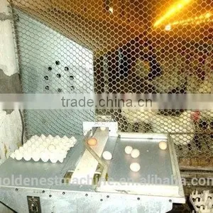 Automatic Nest System/auto Nest System/Poultry Equipment/egg Picking System/chicken Nest/Manual Egg Collection Box thumbnail-1