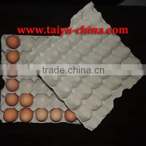 Whole Year Stock of Paper Egg Tray thumbnail-1