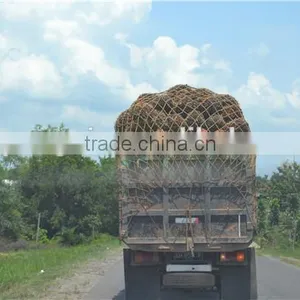 Sinar Mas Group Partner 5TPH Palm Oil Press Machine thumbnail-4