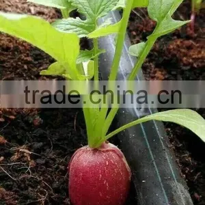 PVC Hydroponic Gutter for Strawberry Growing thumbnail-2