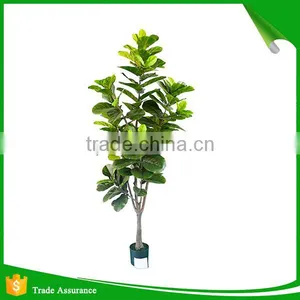Incredibly Realistic Artificial Rubber Ficus Plant Tree for Home and House thumbnail-3