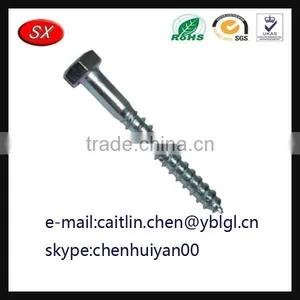 China Hardware Factory Galvanized Steel Lag Screw thumbnail-1