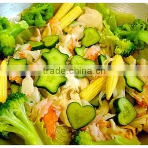 Cucumber Mold for Salad thumbnail-1
