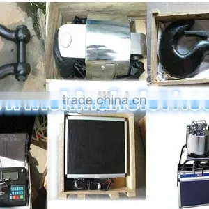 Electronic Cow Crane Scale With Printer /electronic Price Computing Scales thumbnail-2