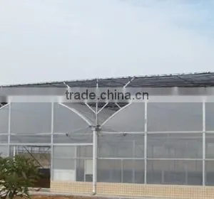 Cheap 30 x 100 Greenhouse thumbnail-5