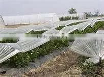 Agricultural Mulch Film thumbnail-1