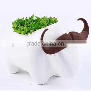Supply Fashion Creative Animal Plant - Buffalo thumbnail-1