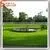 High Imitation Artificial Landscaping Grass Ornamental Grasses Garden thumbnail-3