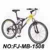 MTB thumbnail-1