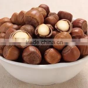 PREMIUM QUALITY HAZELNUTS AT GOOD PRICES thumbnail-1