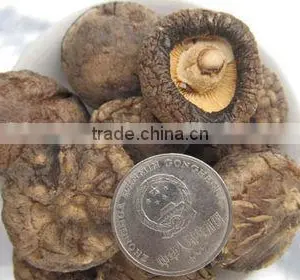 Dried Shiitake Mushrooms Cheap Price thumbnail-1