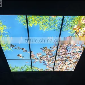 2015 Led Sky Ceiling Panel Blossom Image thumbnail-1