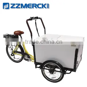 Electric Safety Box Trike With Canopy thumbnail-2