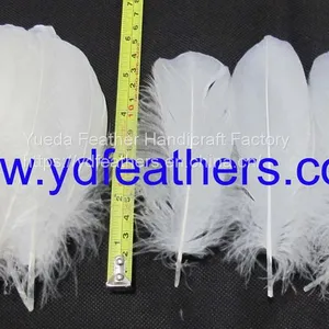 White Goose Nageorie Feather for Wholesale thumbnail-1