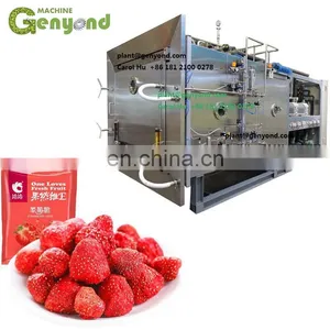 Vacuum Freeze Dried Food Dragon Fruit Honey Powder Instant Coffee Durian Strawberry Raspberry Flowers Roses Vegetable Machine thumbnail-1