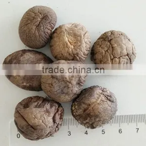 Smooth Dried Shiitake Mushroom 1KG With Stem thumbnail-2