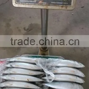 Frozen Mackerel 150-200g 200-300g 300-400g thumbnail-2