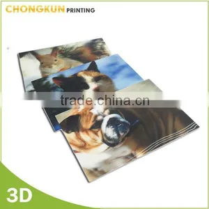 Fashion Design 3d Lenticular Kids Cartoon Picture for Gift thumbnail-4