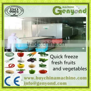 Industrial Tunnel Instant Freezer thumbnail-1