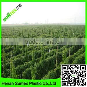 Heavy Duty Long-lasting Polyester Trellis Netting Pea & Bean Support Net thumbnail-3