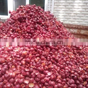 Litchi (longan) Crusher Separator thumbnail-4