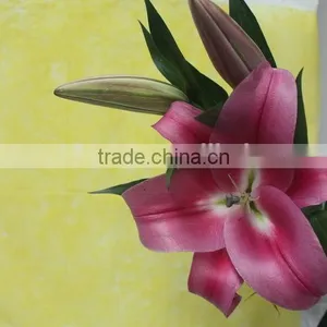 Reasonable Price New Coming Lily Flower From Kunming thumbnail-6