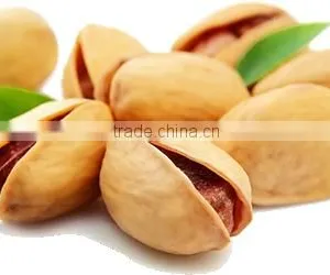 100% Organic and Natural Pistachio Nuts thumbnail-1