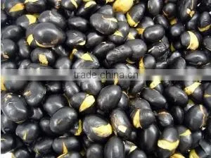 Black Bean /Black Turtle Beans(2012 Crop) thumbnail-1