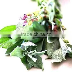 100% Natural Sage Oil thumbnail-1