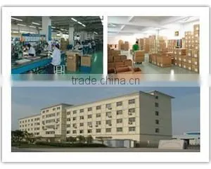 Cixi Pipi Electrical Appliances Co., Ltd. company overview - view 1 thumbnail