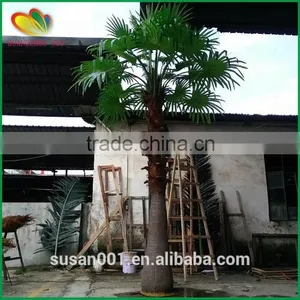 SUS Artificial Palm Tree Fiberglass Artifcial Palm Tree thumbnail-3